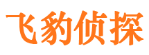 米东市调查公司